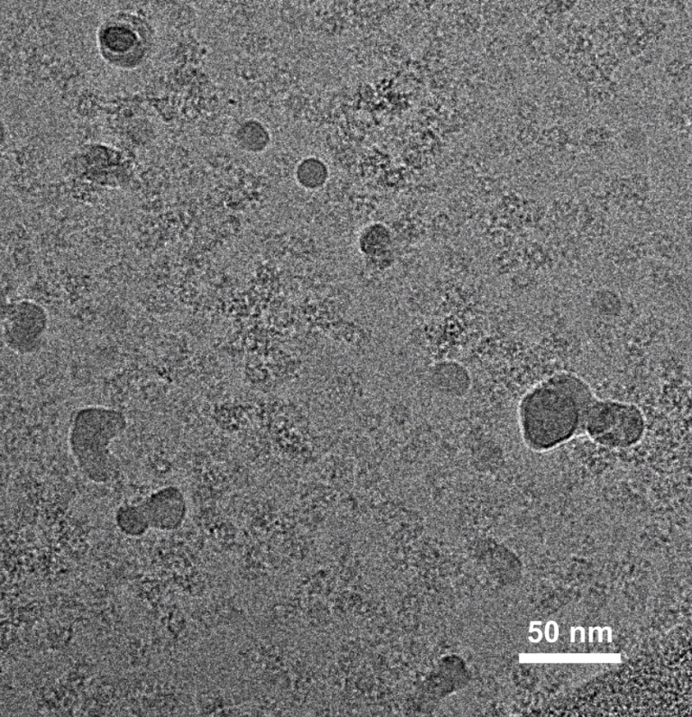 Chapter 3 Cryo EM 101