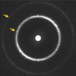 Chapter 3 - Cryo EM 101